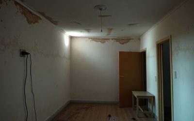 Comment informer son propriétaire d’un logement insalubre : guide pratique et conseils essentiels